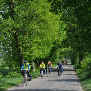 rowerowo