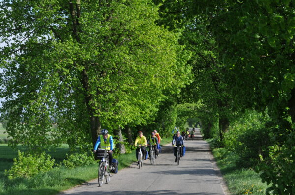 rowerowo