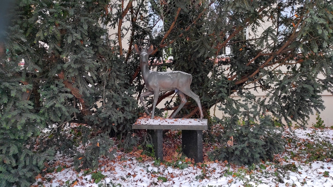 2026-01-11 Piesze spotkania na szlakach Puszczy Zielonka - obrazek 5