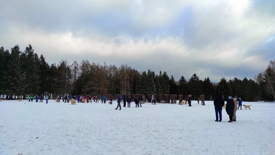 2026-01-11 Piesze spotkania na szlakach Puszczy Zielonka - obrazek 8