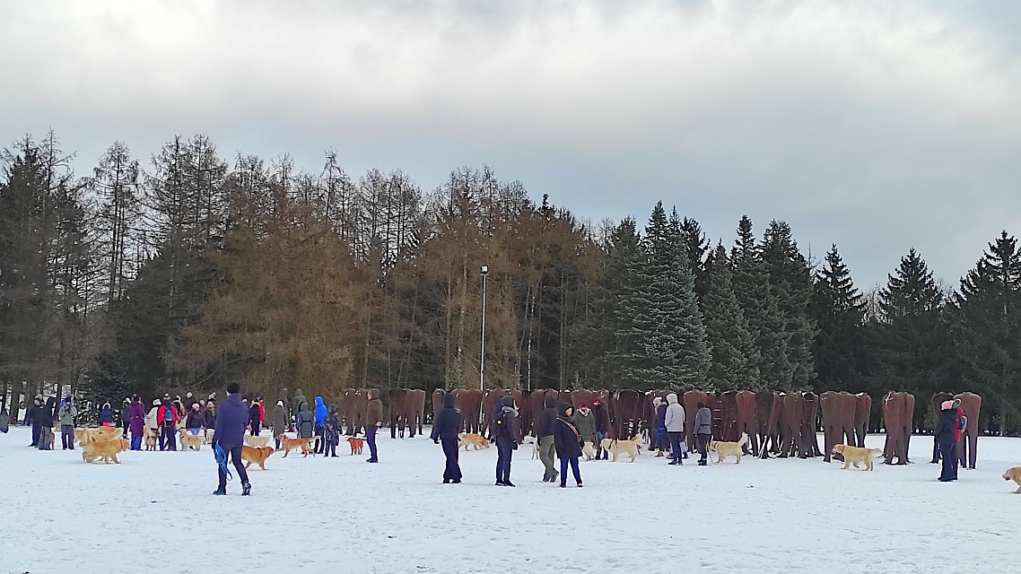 2026-01-11 Piesze spotkania na szlakach Puszczy Zielonka - obrazek 9