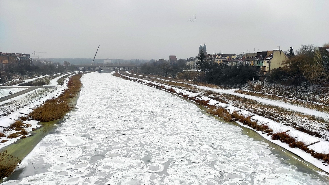2026-02-08 Piesze spotkania na szlakach Puszczy Zielonka - obrazek 5